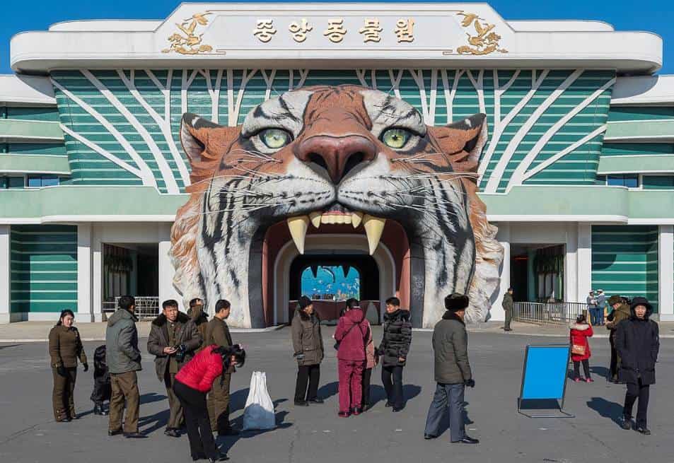 Pyongyang-Central-Zoo