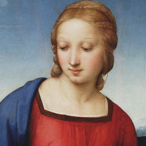 Detail of Madonna and the goldfinch