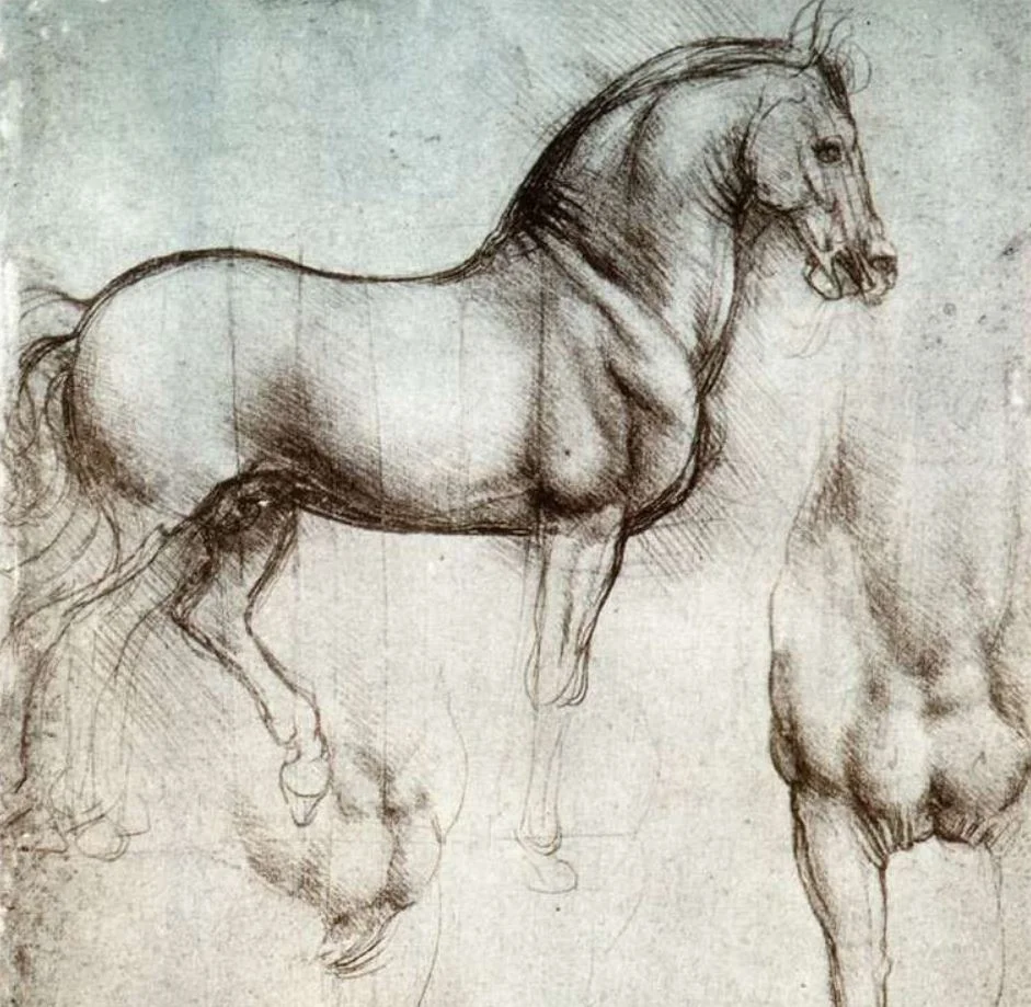 Leonardo horse study