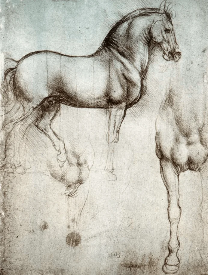 Leonardo's drawing of horses