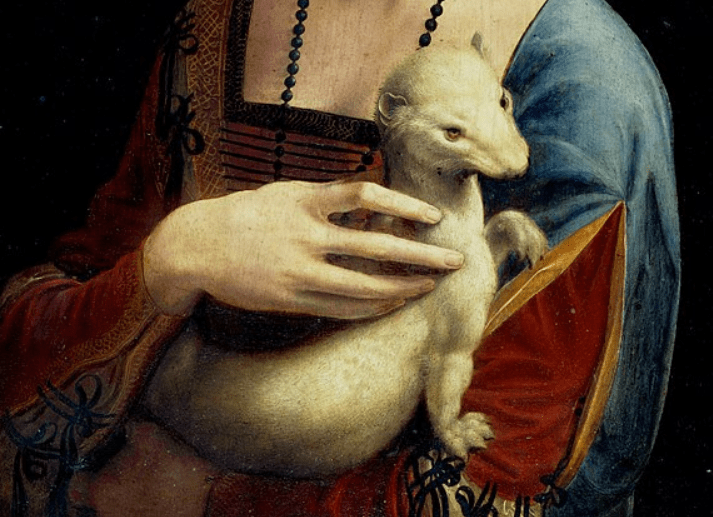 Lady with an ermine facts