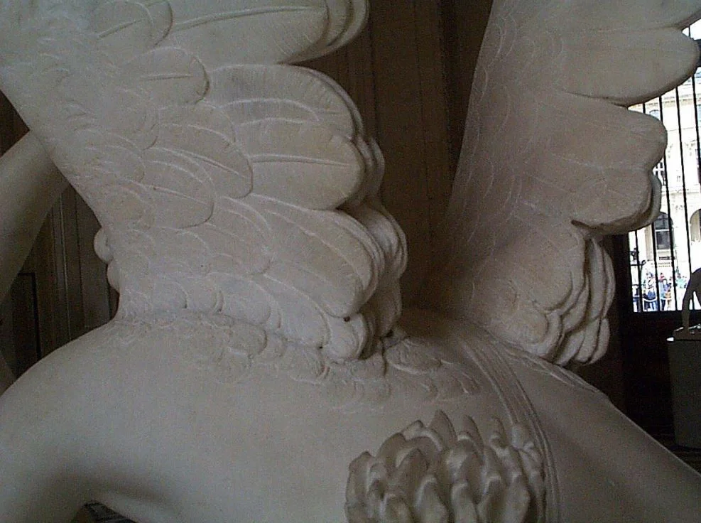 detail of the wings