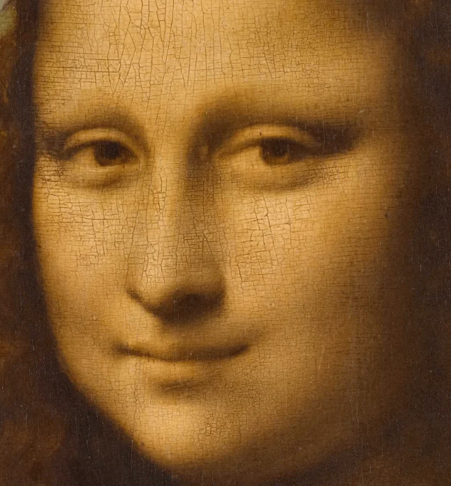 Eyebrows of the Mona Lisa