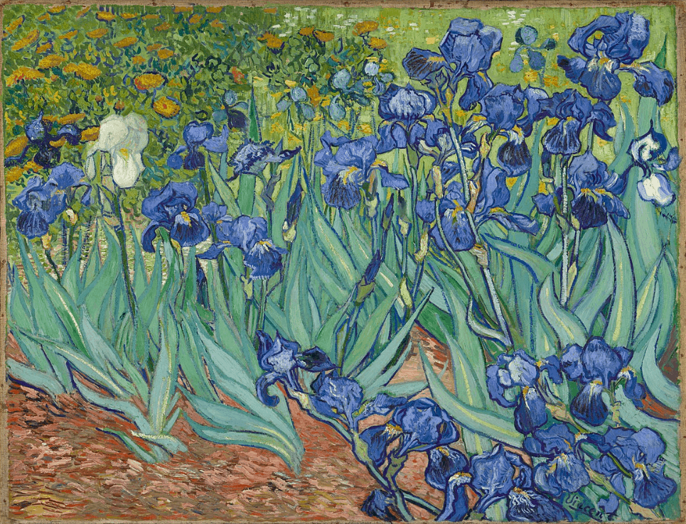 Van Gogh irises