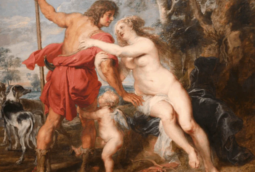 venus and adonis by peter paul rubens