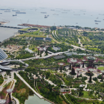 22 Interesting Facts About Gardens By The Bay