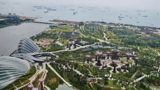 Aerial view of Bay South Gardens