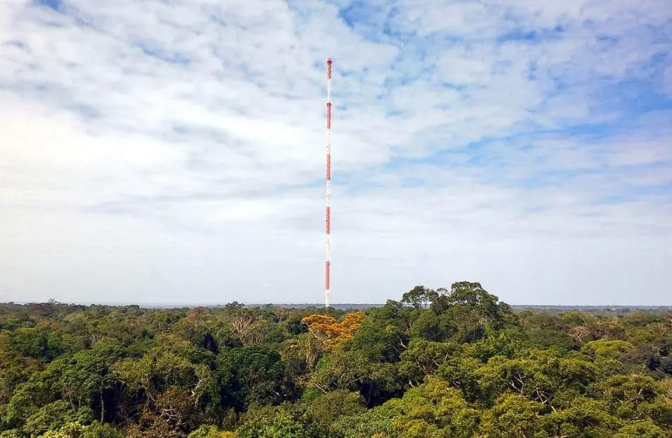 Amazon Tall Tower observatory height