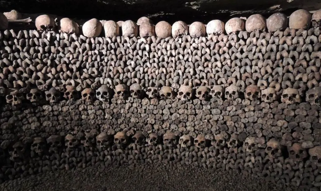 Catacombs of Paris Wall
