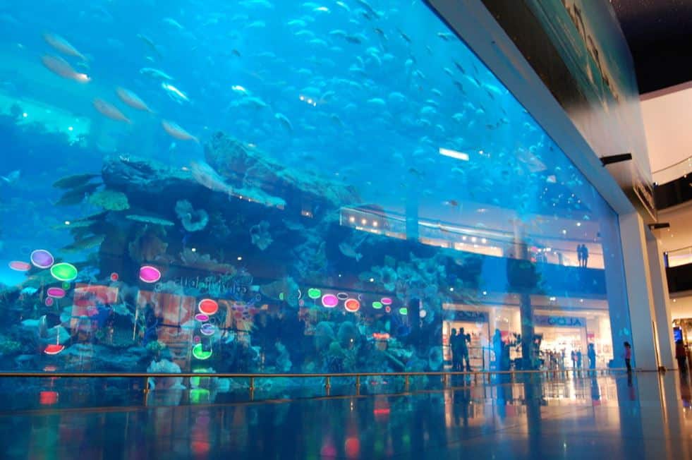 Dubai Mall aquariusm and screen
