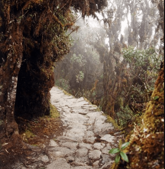 Inca Trail with original Inca construction paths