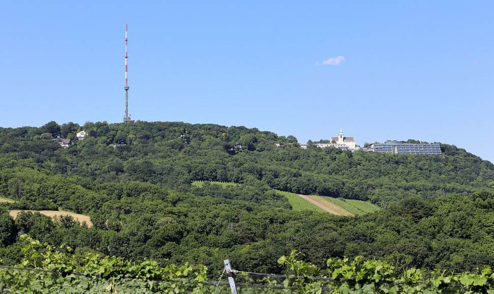 Kahlenberg hill near vienna