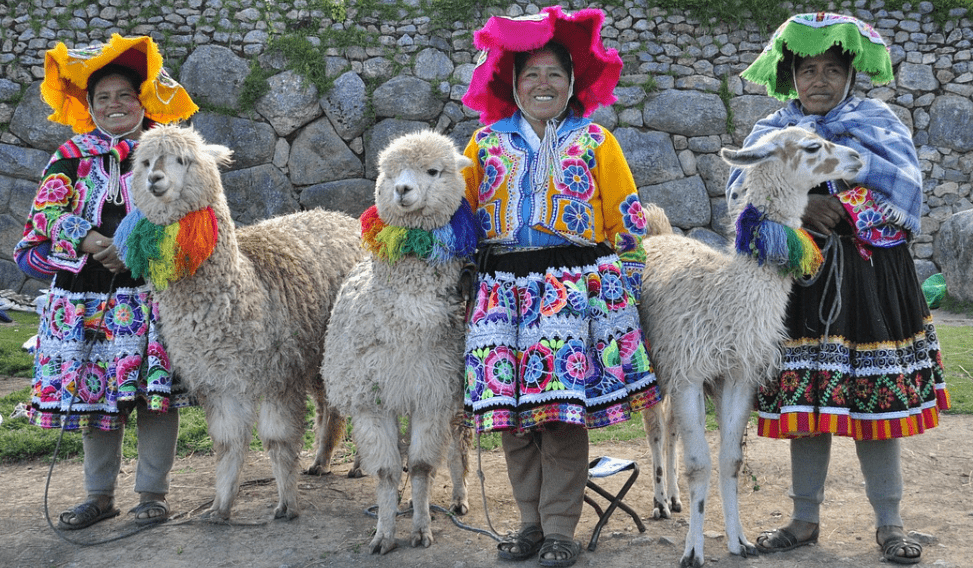 Quechuan women with lamas 