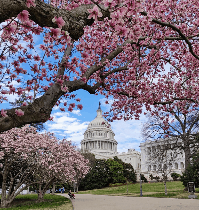 capitol grounds