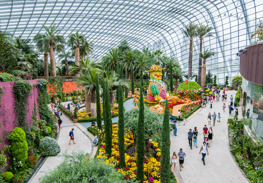 Gardens by the bay flower dome inside