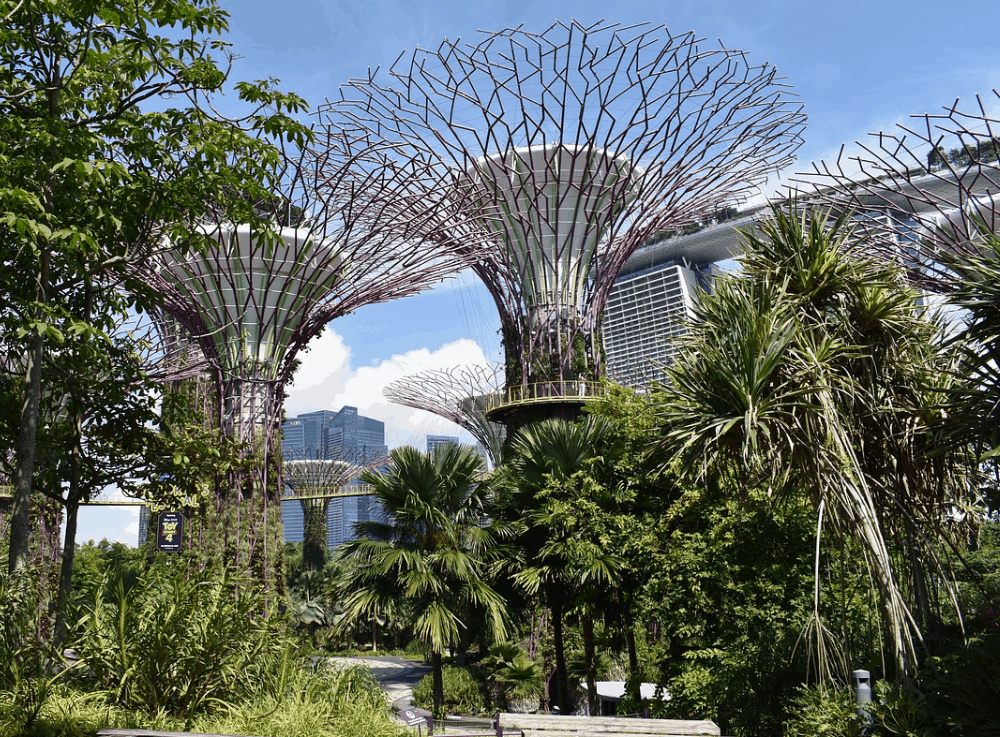 Gardens by the Bay with Marina Bay Sands and the city in the background