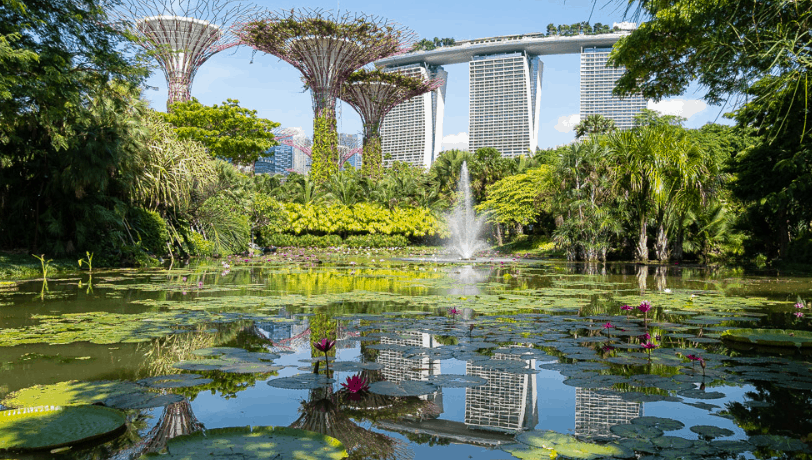 Gardens by the Bay gave inspiration for the creation of planet Xandar