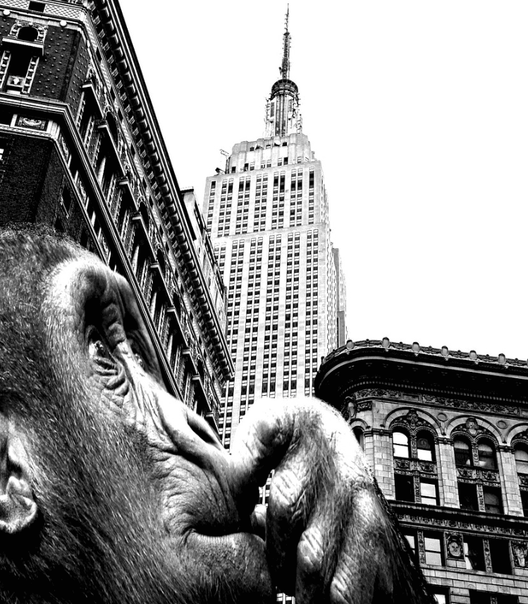 King kong empire state building