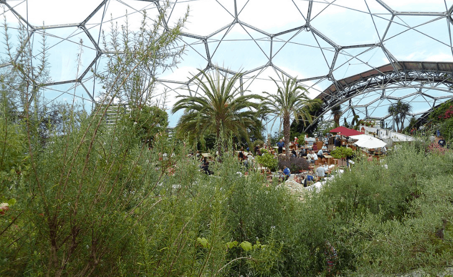 Eden Project mediterranean dome
