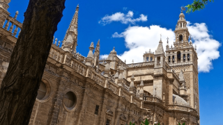 seville cathedral nice view