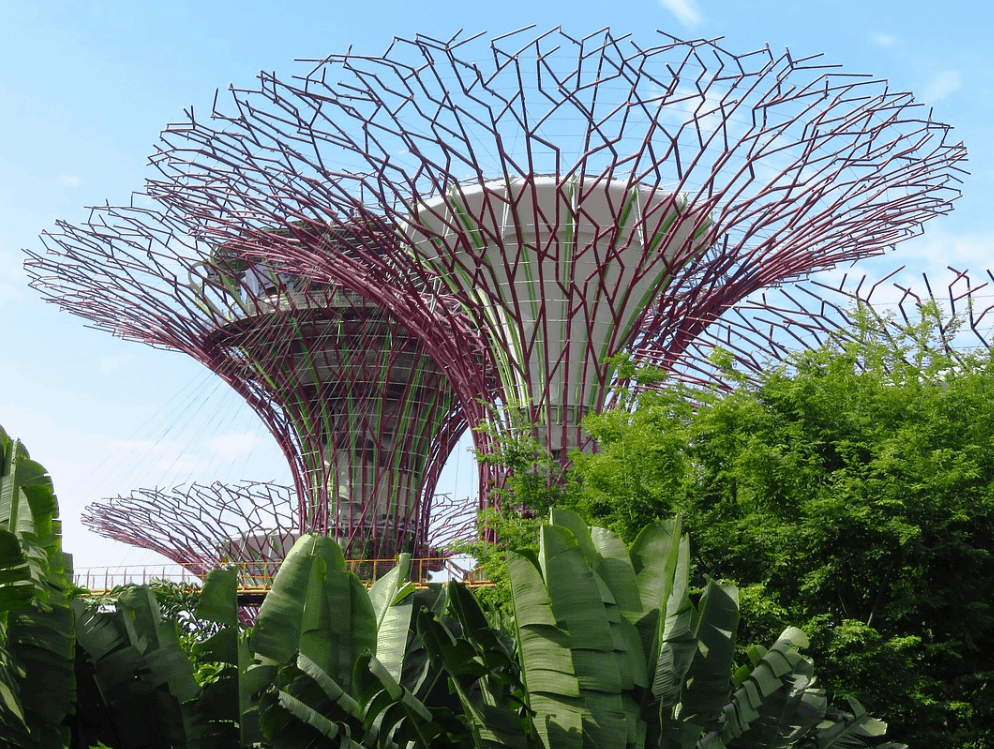 Supertree grove singapore