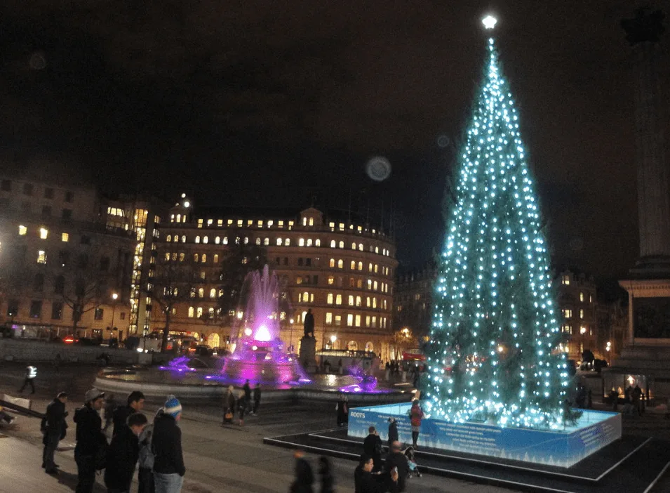 Trafalgar Square christmas tree