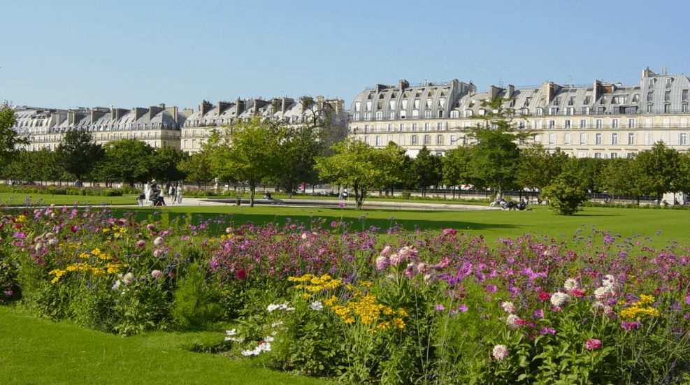 Tuileries Garden flowers