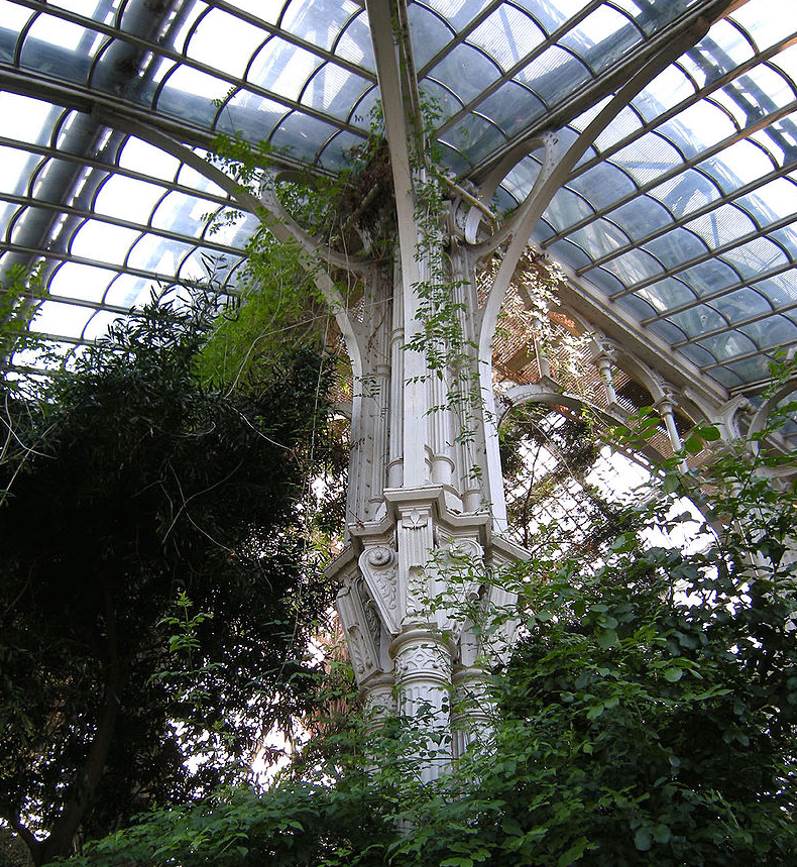 Palmenhaus Schonbrunn tree shaped column