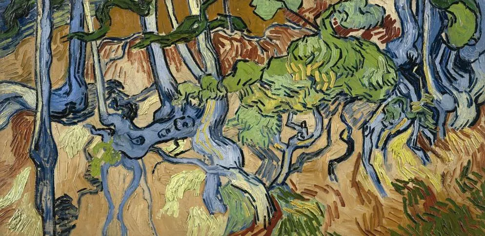 Tree Roots van gogh facts