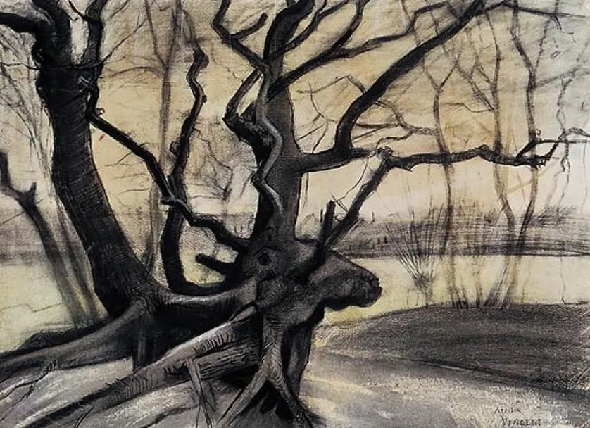 Tree roots study Vincent van Gogh