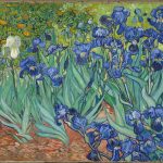 Irises by Vincent van Gogh - Top 8 Facts