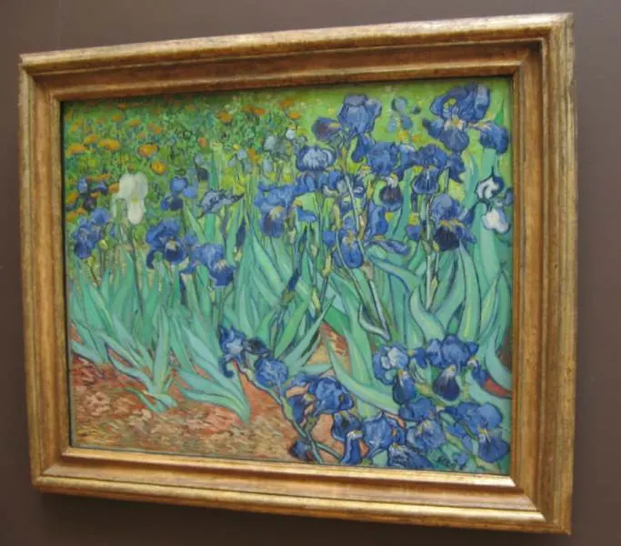 Irises by Vincent van Gogh facts