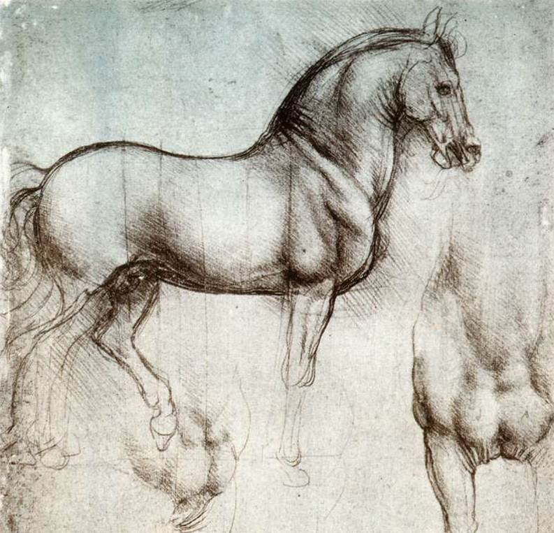 Study of a horse by Leonardo
