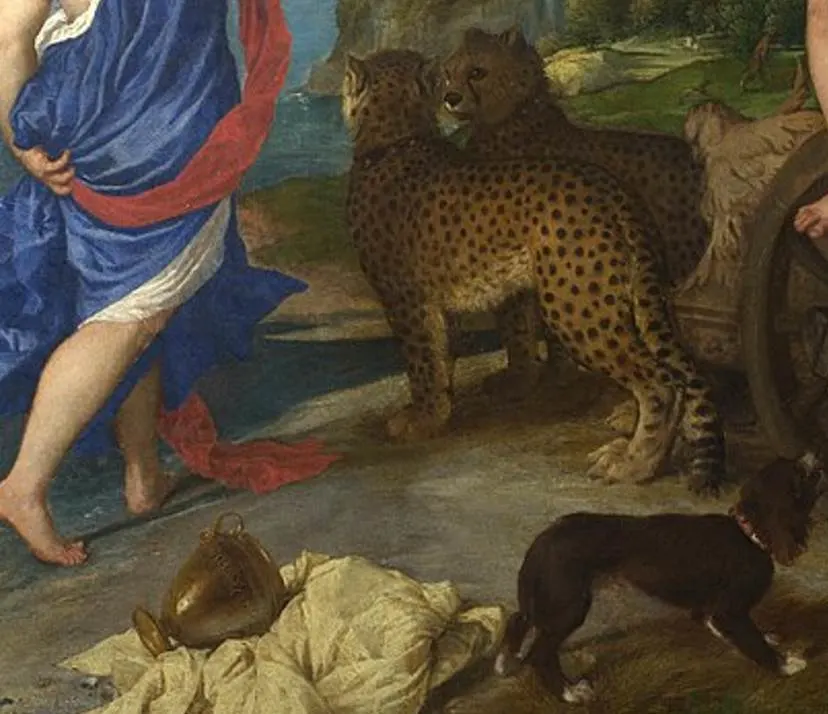 Bacchus and Ariadne animals and signature