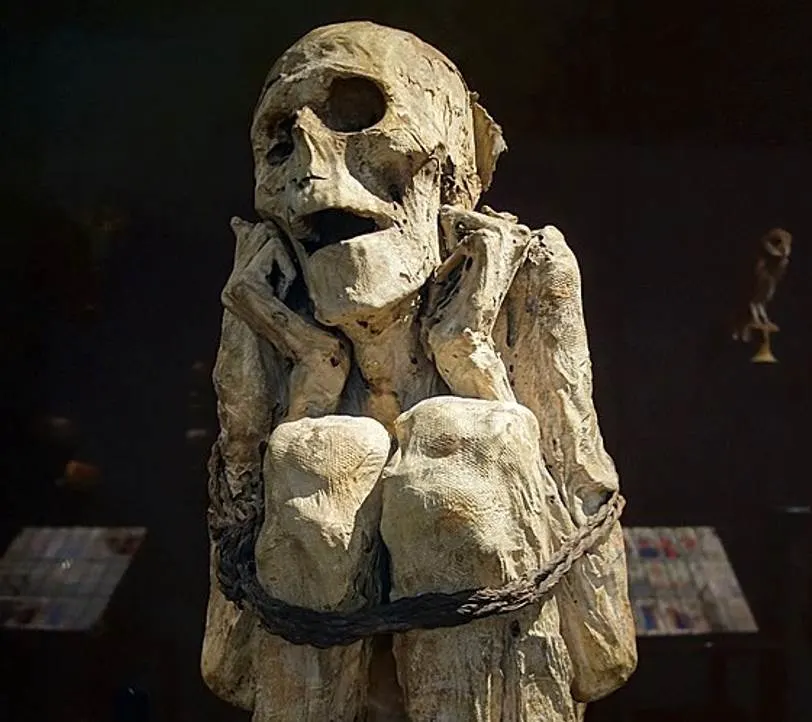 Peruvian mummy in Paris
