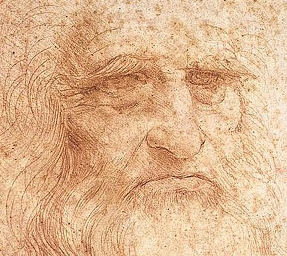 Portrait of a Man in Red Chalk Leonardo da Vinci detail