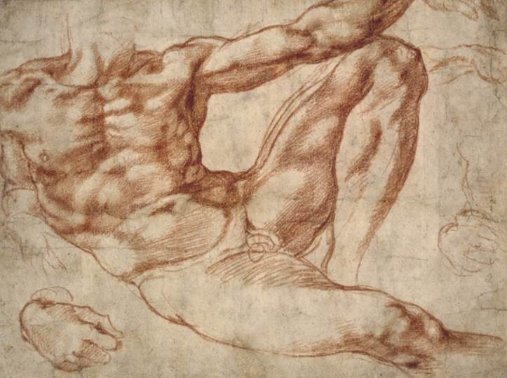 The Study of Adam by Michelangelo