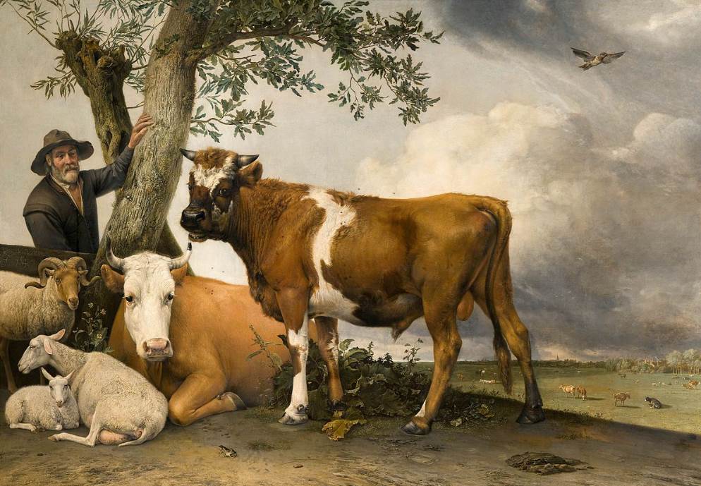 The Young Bull by Paulus Potter