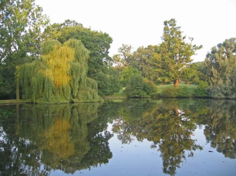 Wivenhoe Park today