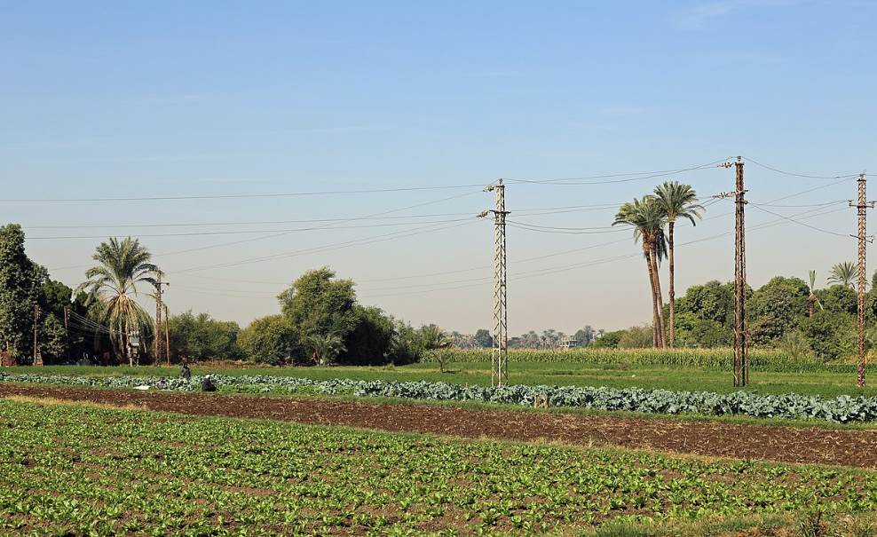Egyptian countryside south of Luxor