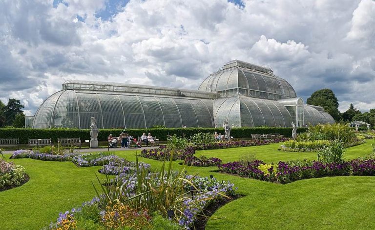 Top 12 Interesting Conservatory of Flowers Facts