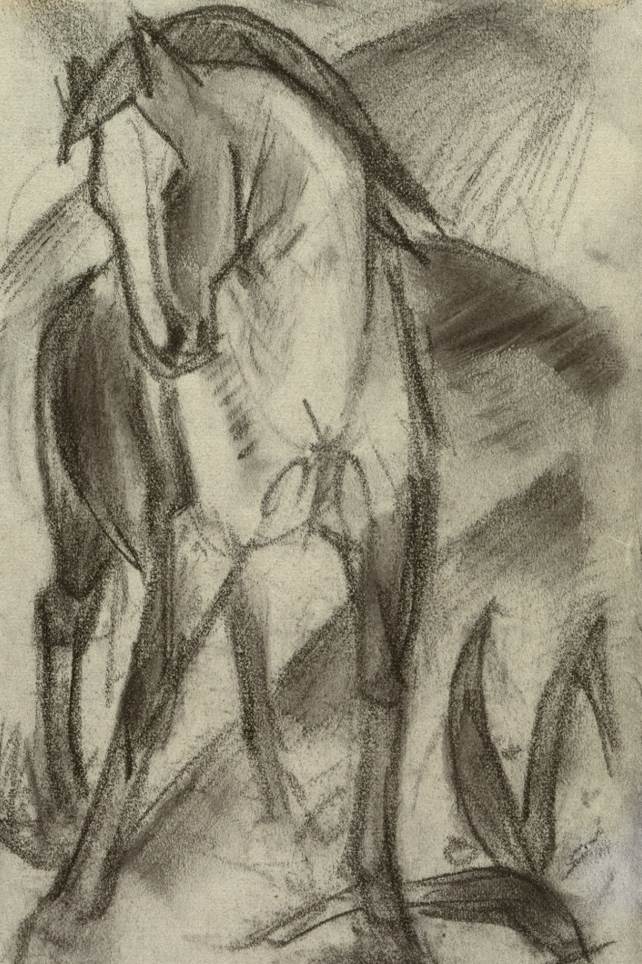 Bue Horse I earlier drawing