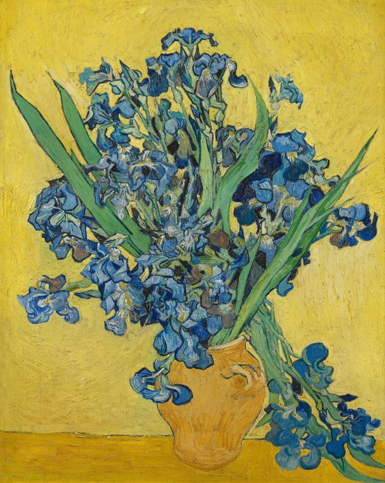 Irisis van Gogh Museum