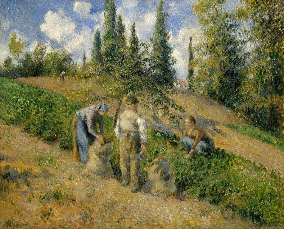 The Harvest, Pontoise by Camille Pissarro
