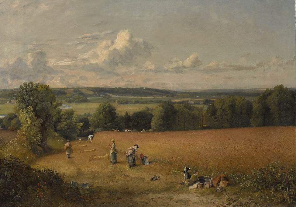 The Wheat Field by John Constable
