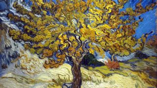 The Mulberry Tree by Vincent van Gogh