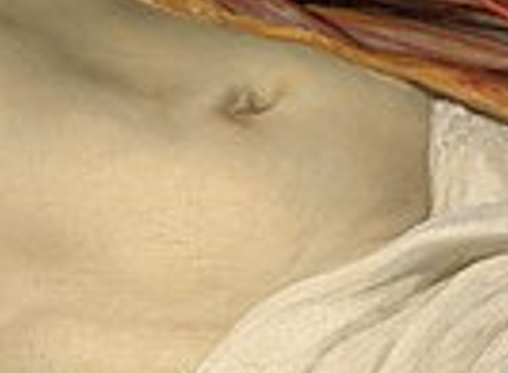The Anatomy Lesson of Dr. Nicolaes Tulp corpse navel