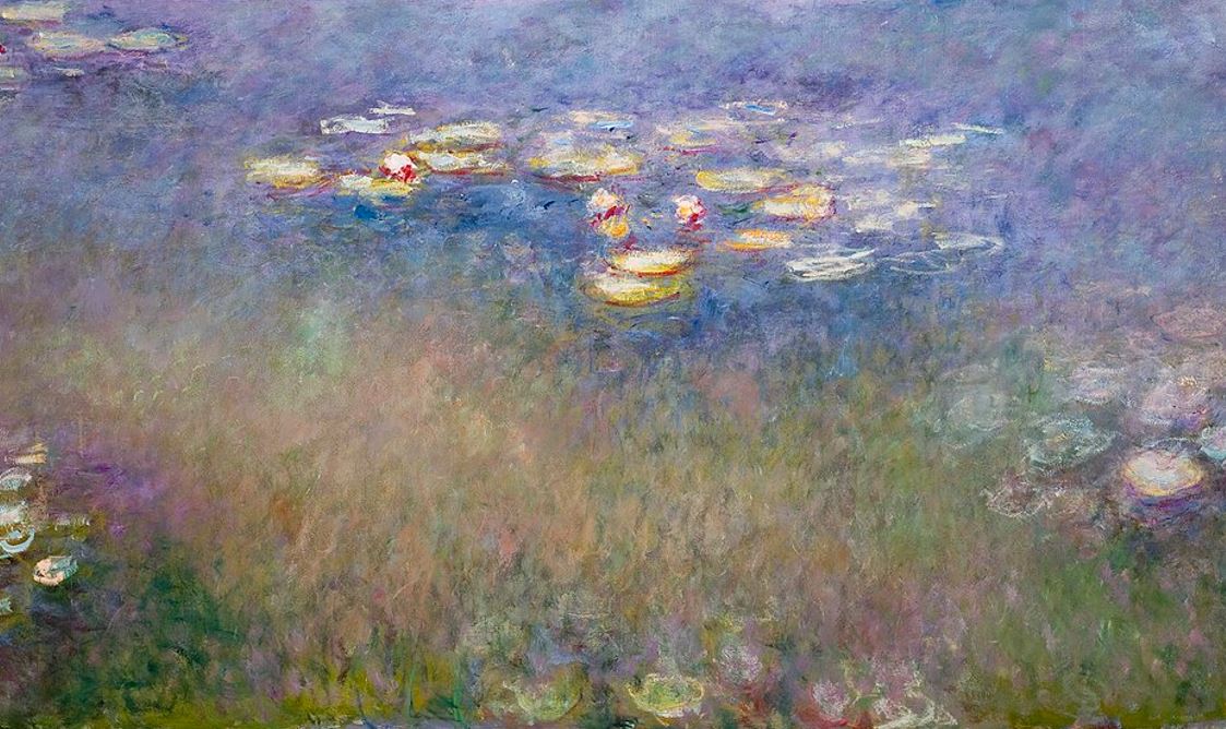 Water Lilies Claude Monet Saint Louis Art Museum Paintings